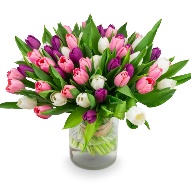 Kytice tulipánů